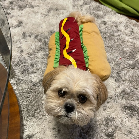 Pet costume: hot dog - Picture 2 of 4